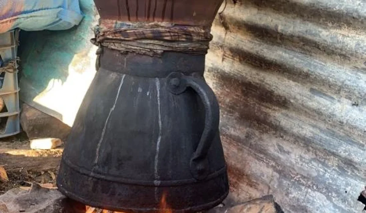 WhatsApp Image 2023-04-11 at 10.52.05 (3)