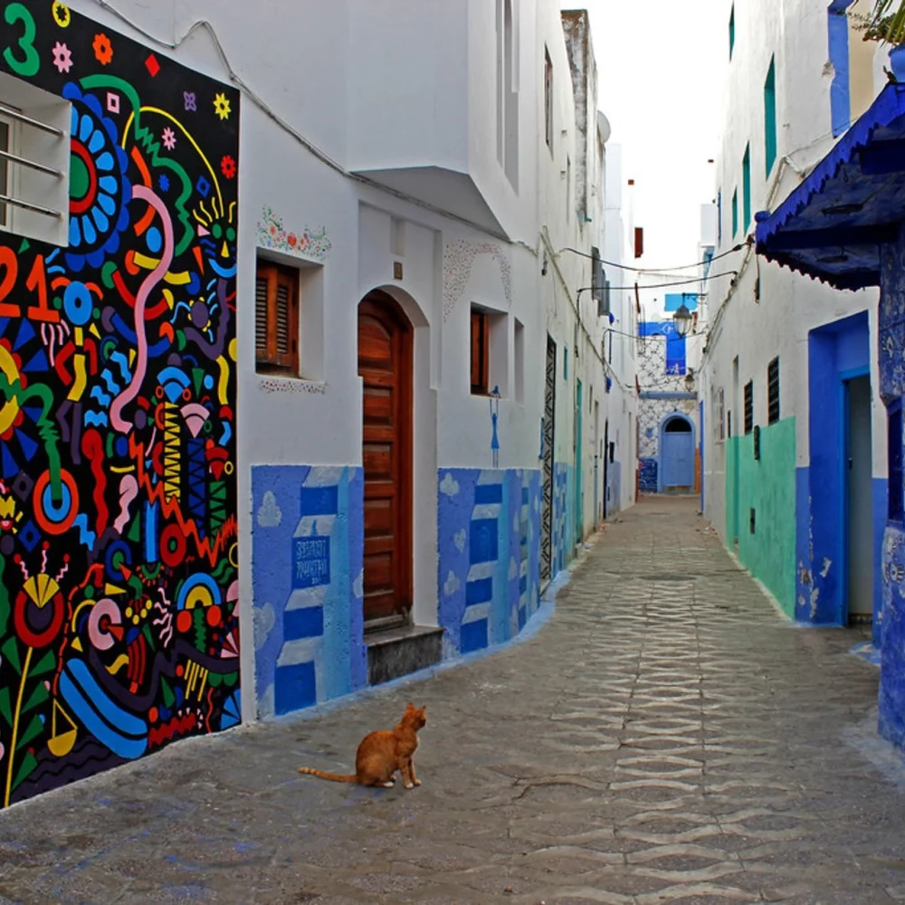 morocco-the-cultural-moussem-of-asilah
